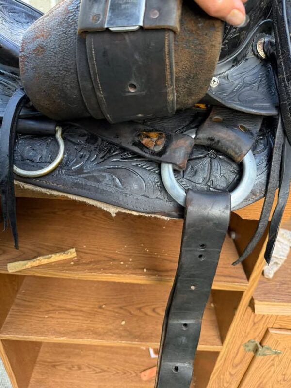 used black saddle - Image 5