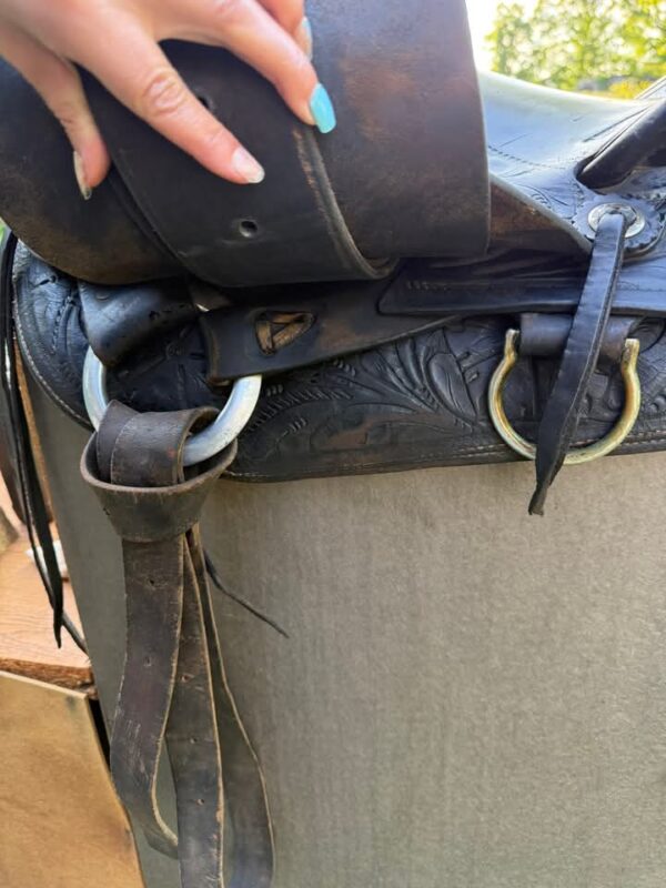 used black saddle - Image 7